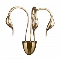 бра lightstar cigno collo 751632 в Ангарске