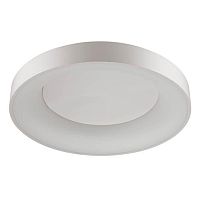 потолочный светодиодный светильник odeon light sole 4062/80cl в Ангарске