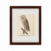 картина: one owl, 1560 в Ангарске