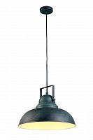 подвесной светильник arte lamp martin a5213sp-1bg в Ангарске