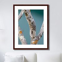 картина: trees on the galapagos islands, ecuador no3 в Ангарске