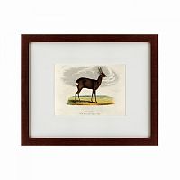 картина: a roebuck, 1830 в Ангарске
