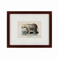 картина: white polar bear on an ice, 1830 в Ангарске