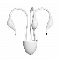 бра lightstar cigno collo wt 751636 в Ангарске