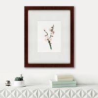 картина: apricot flower (prunus armeniaca), 1832 в Ангарске