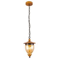 подвесной светильник arte lamp catena a6711sp-1br в Ангарске