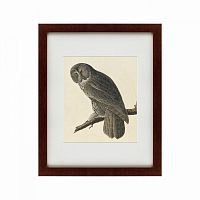 картина: great gray owl, 1834 в Ангарске