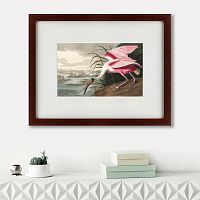 картина: roseate spoonbill, 1827 в Ангарске