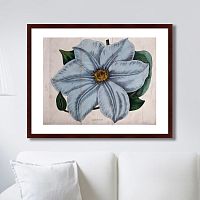 картина: exotic plants of the world №13, 1815г. в Ангарске