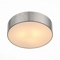 потолочный светильник st luce bagno sl468.502.03 в Ангарске