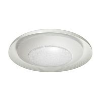 потолочный светодиодный светильник odeon light benso 4623/48cl в Ангарске