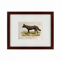 картина: a tortoise-shell hyena, or hye, 1830 в Ангарске