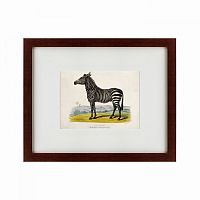 картина: a zebra, 1830 в Ангарске