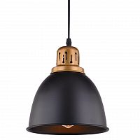 подвесной светильник arte lamp eurica a4245sp-1bk в Ангарске