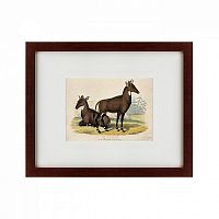 картина: two nilgais, 1830 в Ангарске