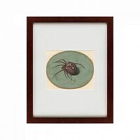 картина: spider, 1690 в Ангарске