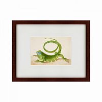 картина: green iguana, 1701 в Ангарске