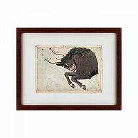 картина: signs of zodiac taurus, 1825 в Ангарске