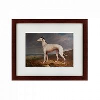 картина: portrait of a greyhound, 1744 в Ангарске