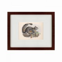 картина: the squirrel, 1879 в Ангарске