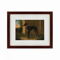 картина: portrait of a greyhound called pompon, 1746 в Ангарске
