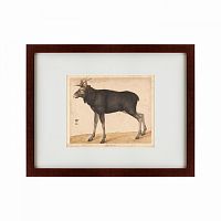 картина: moose, 1560 в Ангарске