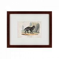 картина: a caracal or lynx, 1830 в Ангарске