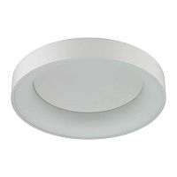 потолочный светодиодный светильник odeon light sole 4062/50cl в Ангарске